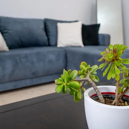 Acasa Comfort House Zipárion