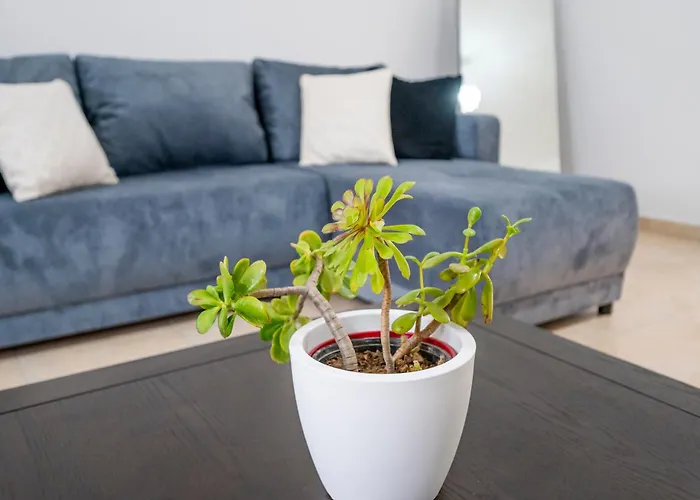 Acasa Comfort House Zipárion