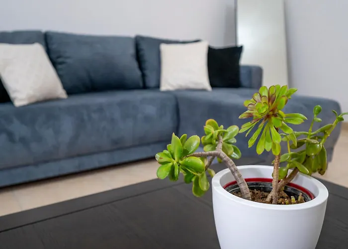 Acasa Comfort House Zipárion